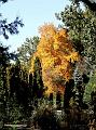 DSC02681