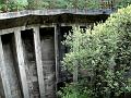 DSC09090