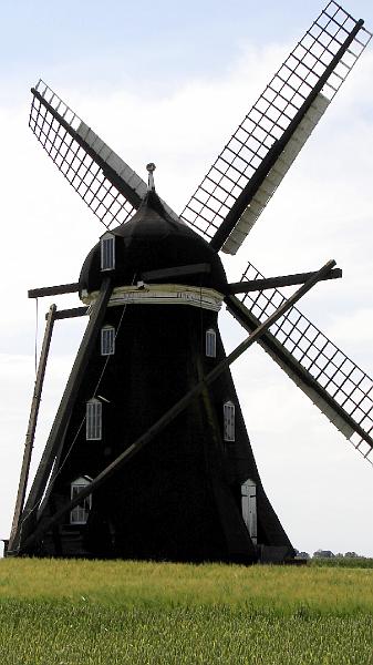 DSC07600.JPG