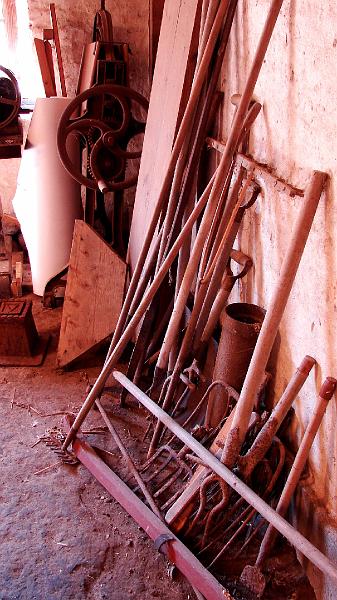 DSC07790.JPG