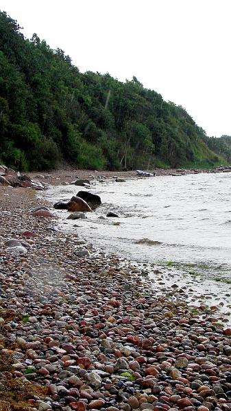 DSC07851.JPG