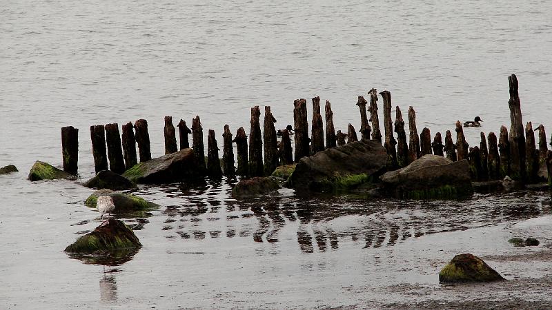 DSC08060.JPG