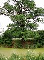 DSC09308